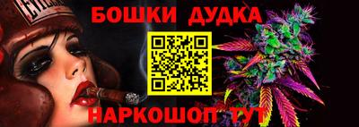 стаф Шахты