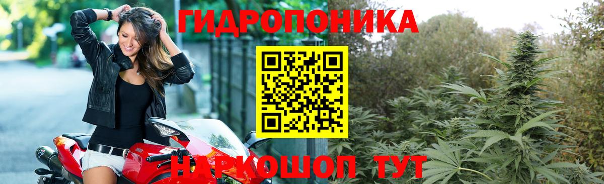 Бошки Шишки Amnesia  Канабис SATIVA & INDICA  Верхняя Пышма  Вход с VPN  Конопля тримм 